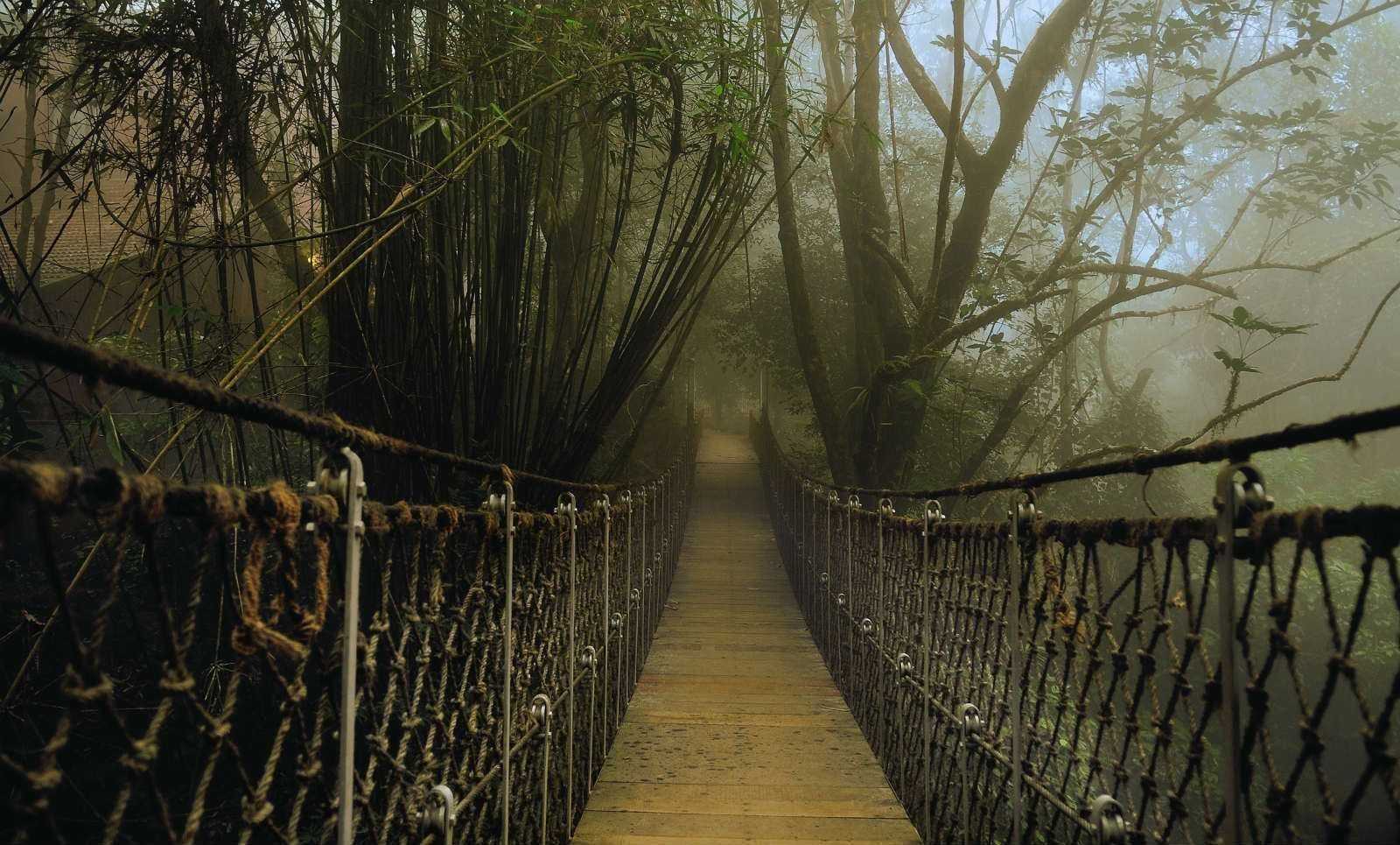 Landscape and scenery from Coorg, Karnataka